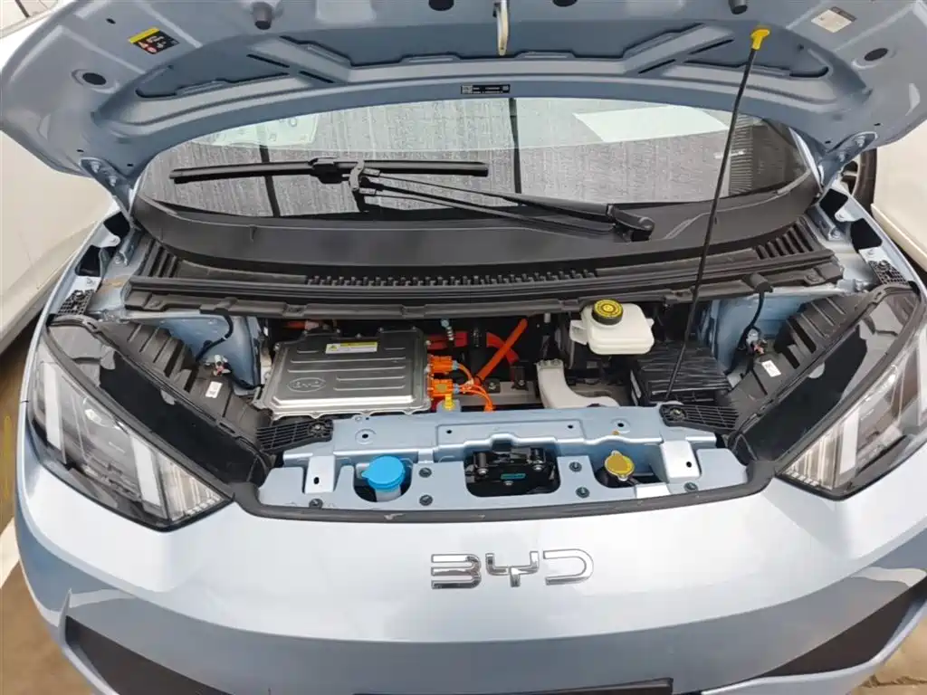 BYD Seagull 2025 Smart Drive Edition 305km Vitality Version фото 20