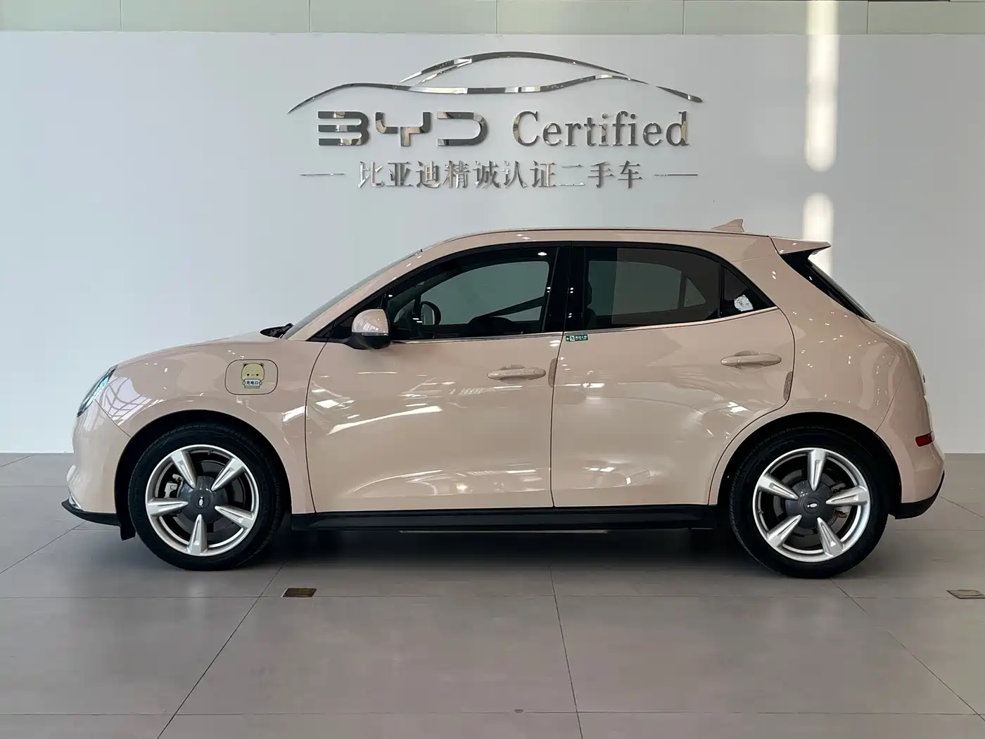 Ora Good Cat 2023 2023 401km Standard Range Luxury LFP