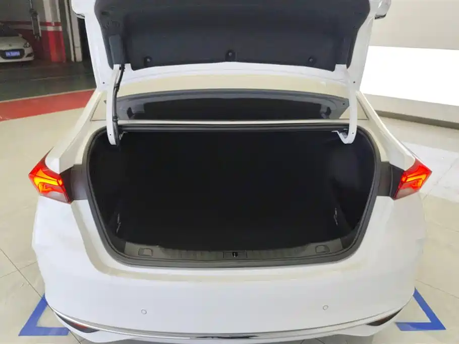 BUICK WEILANG