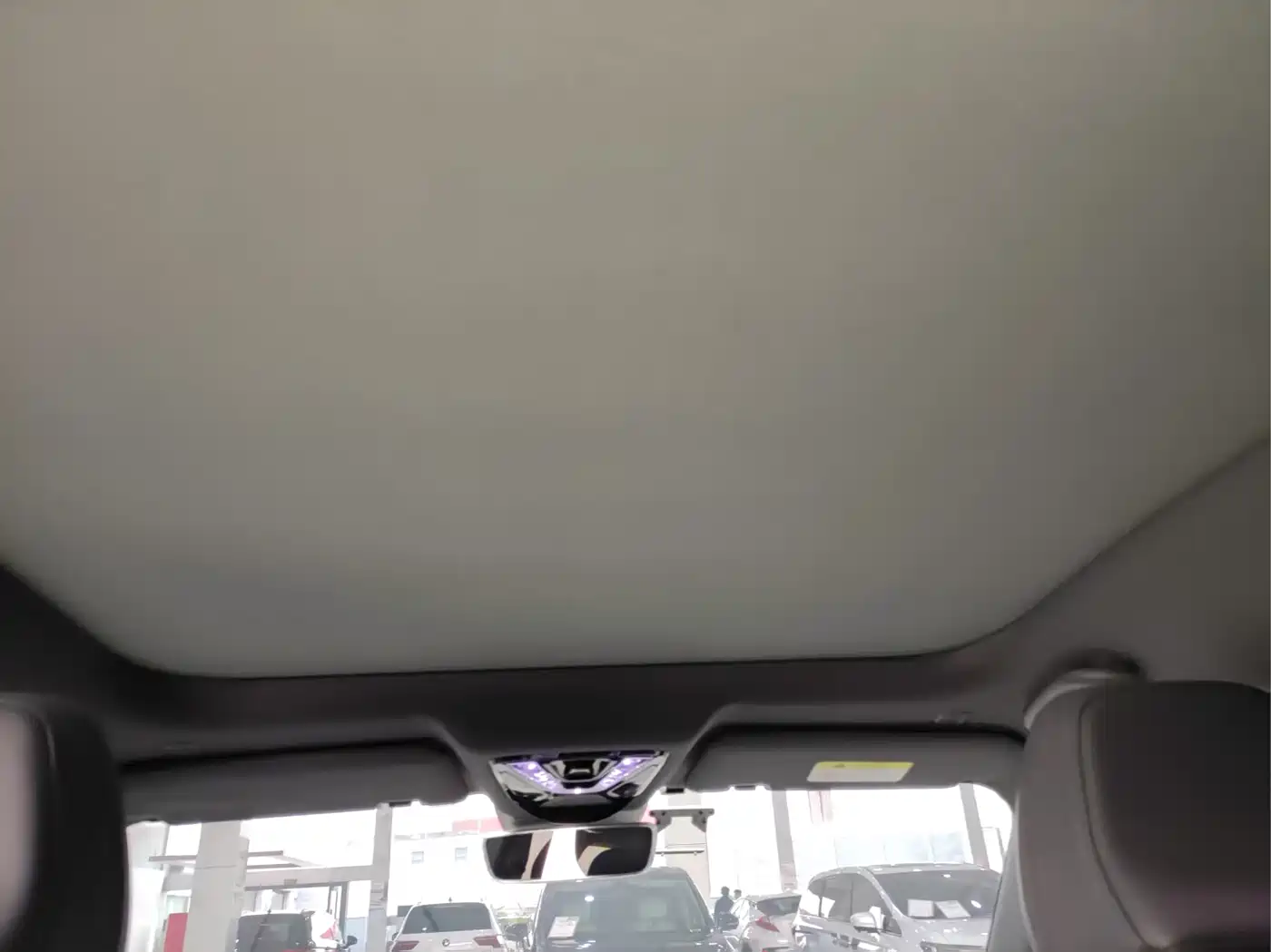 ARCFOX EXTREME FOX POLAR FOX ALPHA S