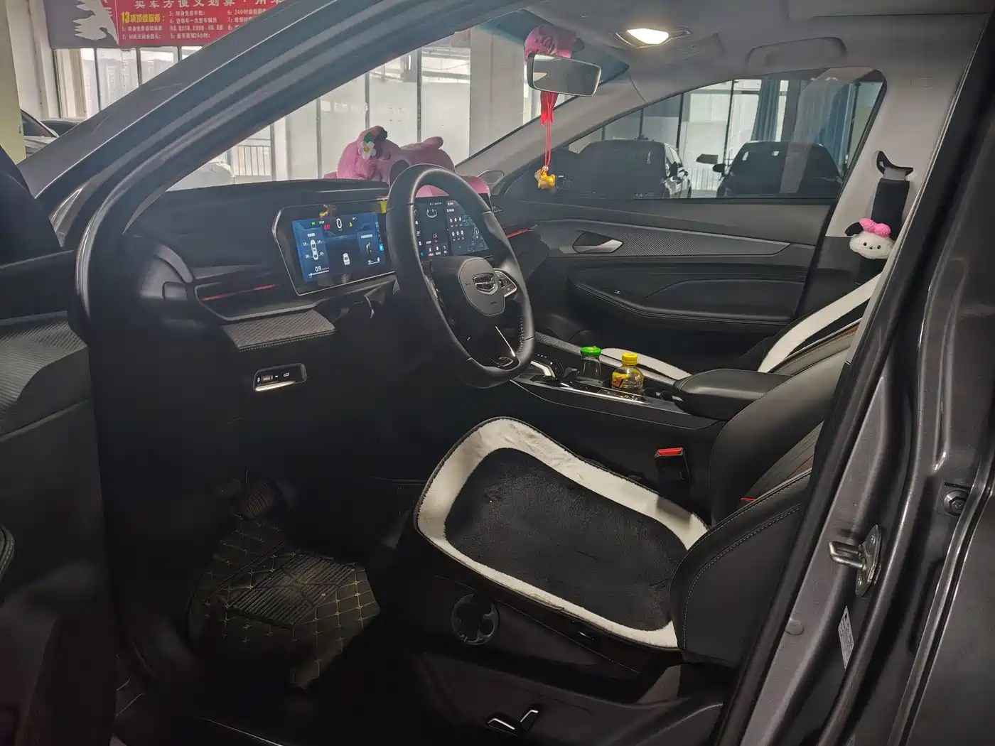 GEELY AUTOMOBILE BINRUI