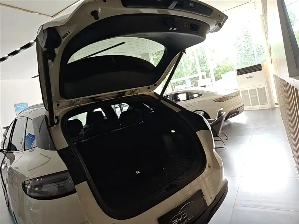 BYD Sealion 06 New Energy 2025 DM-i 170 Pilot Pro Edition фото 19