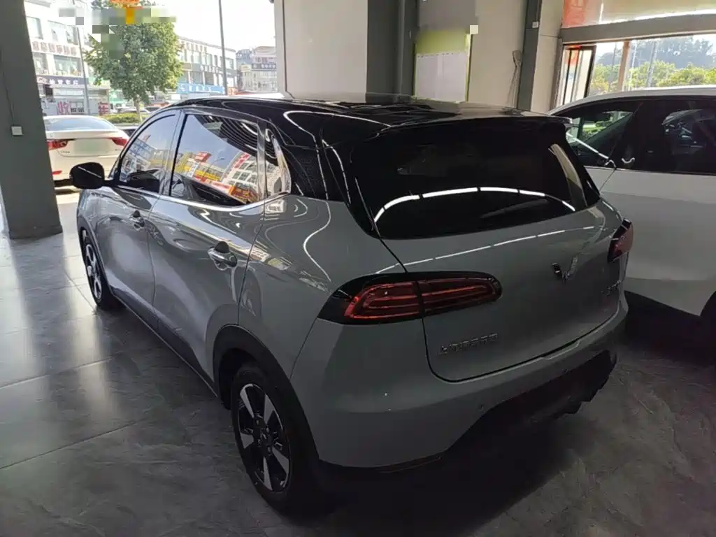 Wuling Motors Wuling Binguo PLUS 2025 2024 401km Range 5-seater