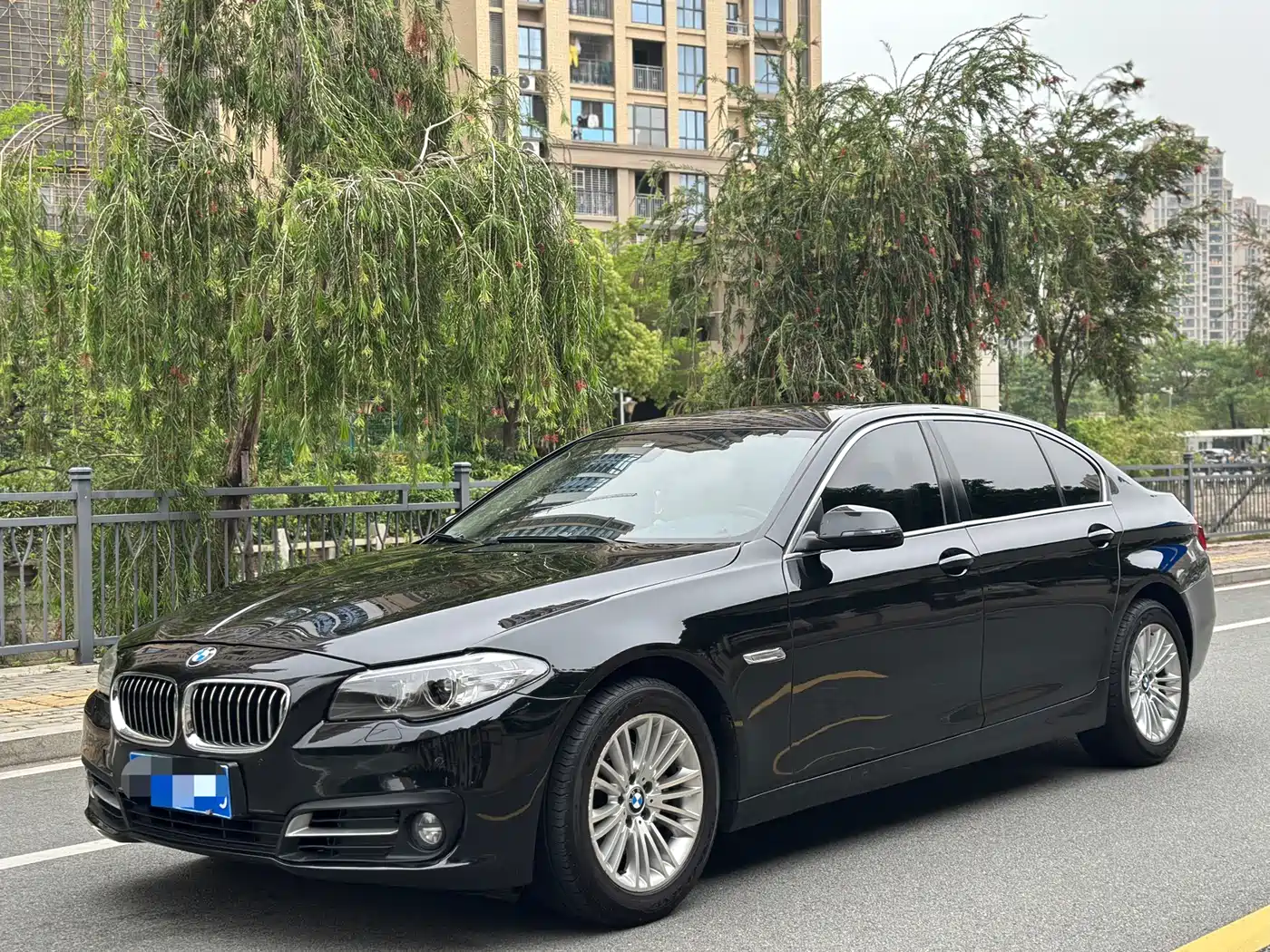 BMW 5 Series 2014 525Li Leading