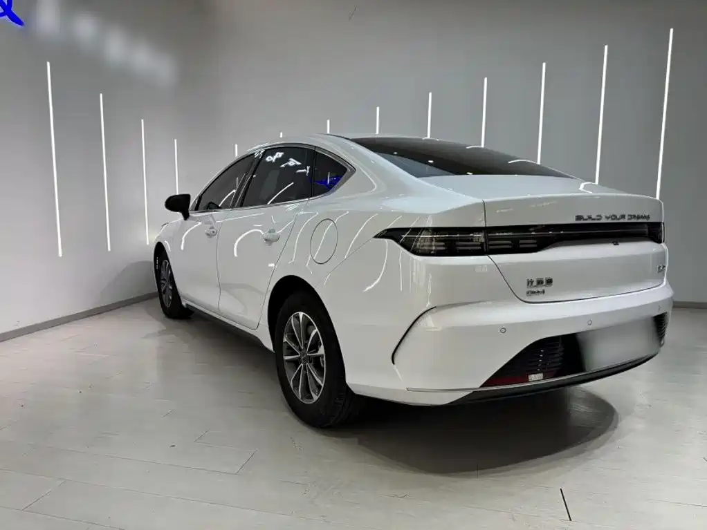 BYD Destroyer 05 2025 2024 Glory Edition DM-i 55KM Luxury
