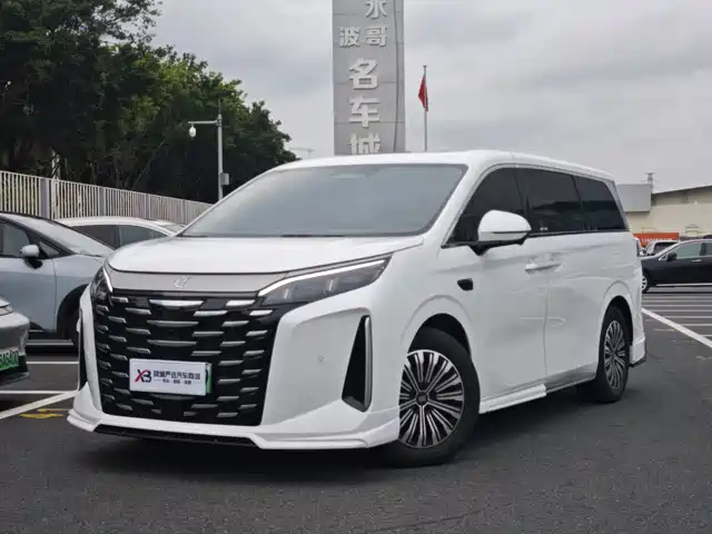  BYD Xia 2025 DM-i 1.5T 100km Surpass Edition
