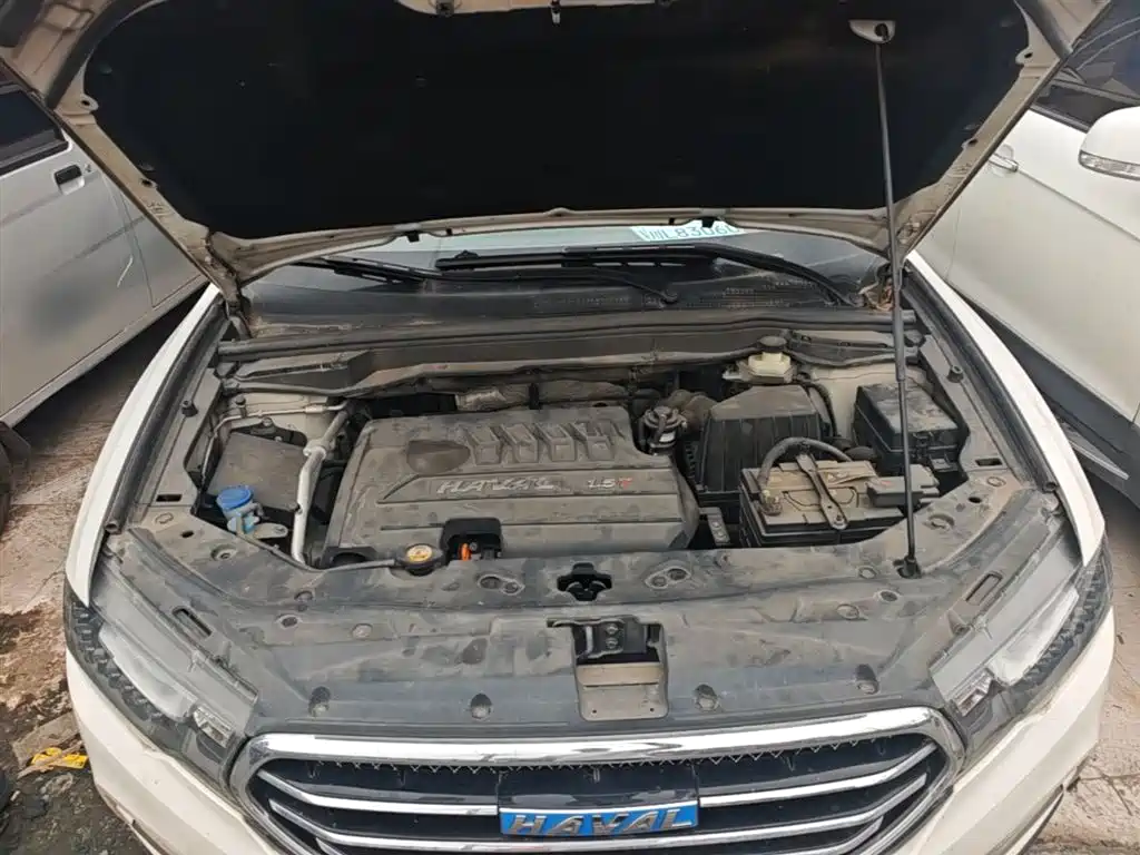 Haval H6 Coupe 2016 Blue Label 1.5T Automatic 2WD Elite фото 20