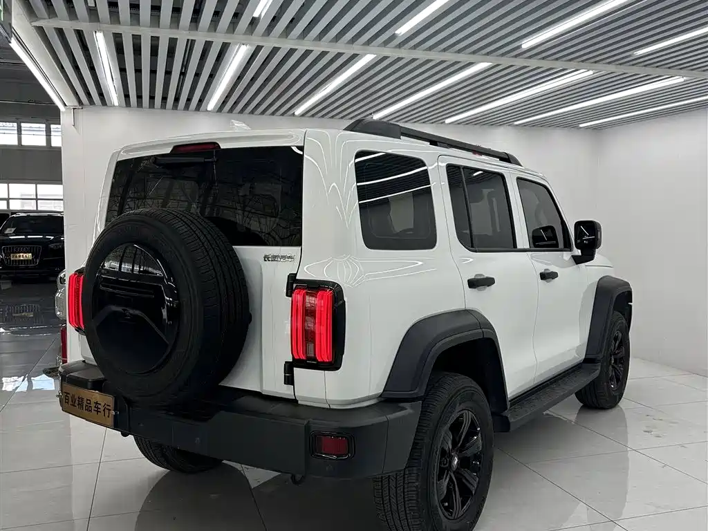 Tank 300 2023 Off-Road Edition 2.0T Conqueror фото 7