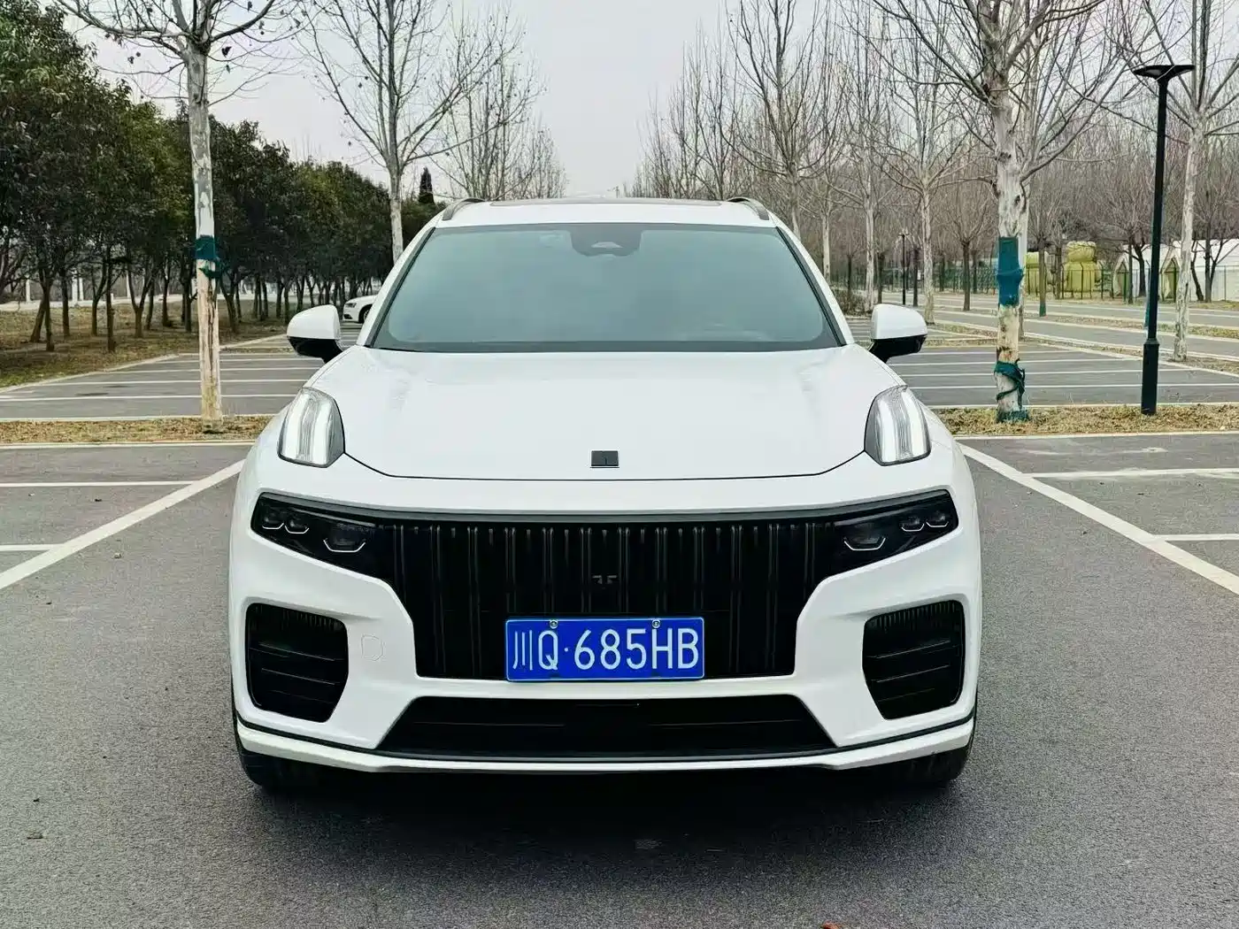 Lynk & Co 09 2021 2.0T Ultra 6-Seater