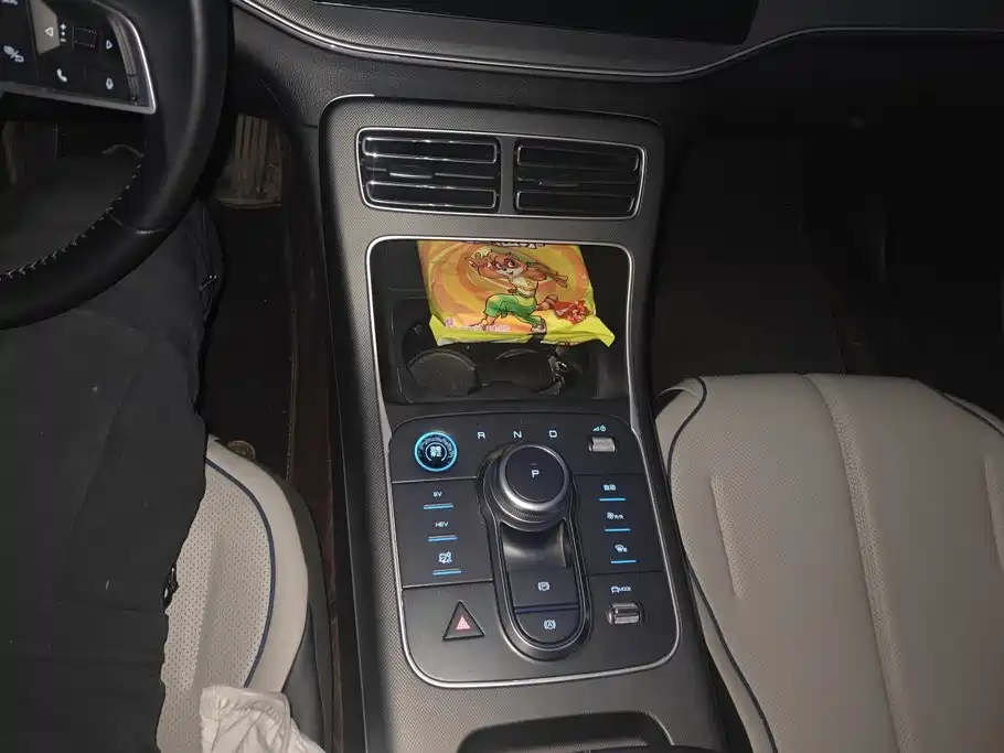 BYD Destroyer 05 2024 2024 DM-i 55KM Pilot Glory Edition