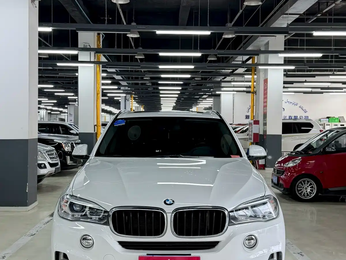 BMW X5 (Import) 2014 xDrive35i Elegance фото 2