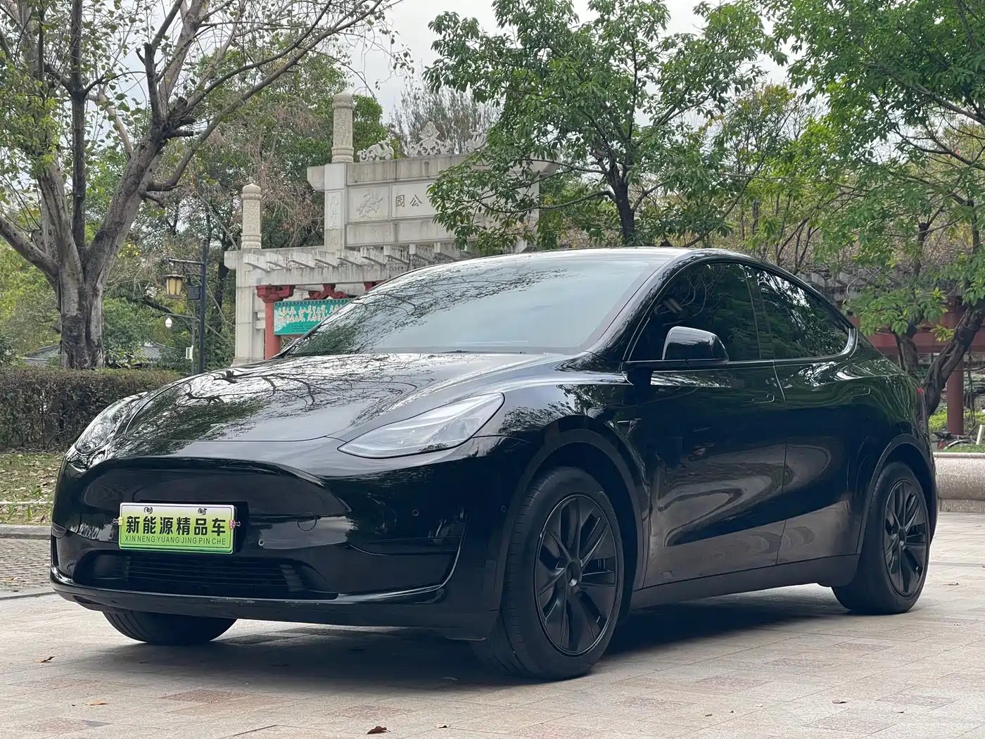 TESLA MODEL Y