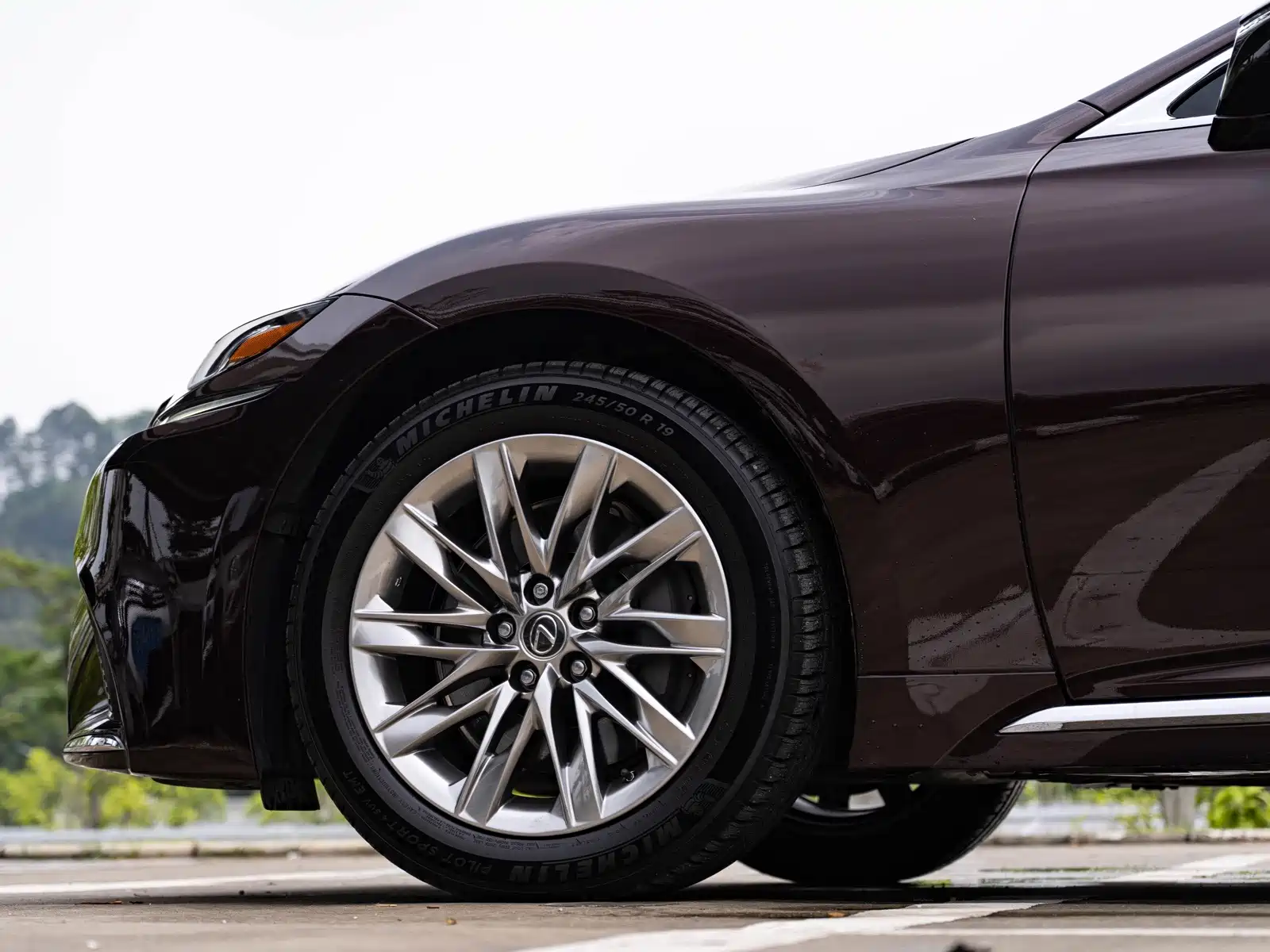 Фото 8 - Lexus LS