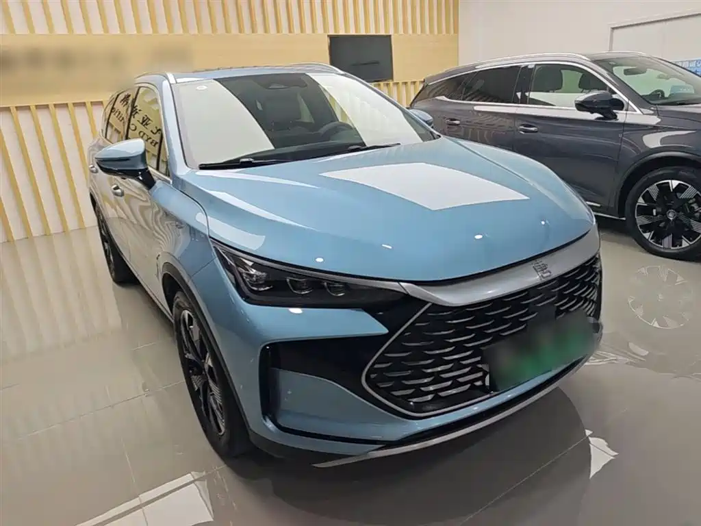 BYD Tang New Energy 2024 DM-p Champion Edition 215KM AWD Flagship фото 4