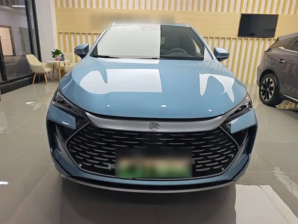 BYD Tang New Energy 2024 DM-p Champion Edition 215KM AWD Flagship фото 3