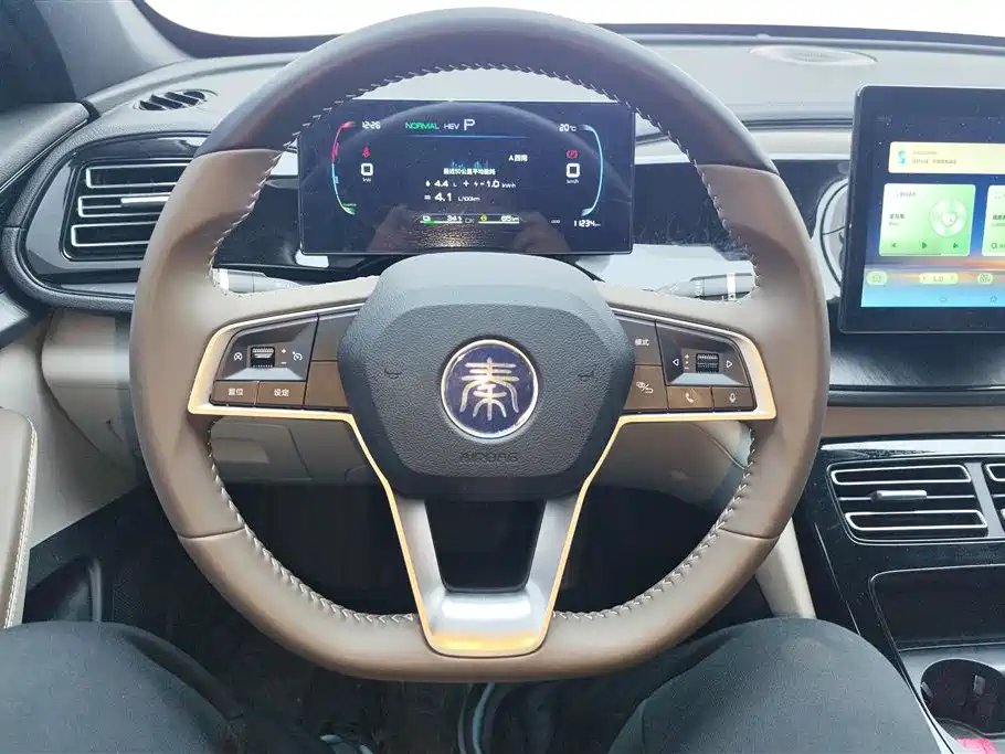 BYD Qin PLUS 2024 Glory Edition DM-i 55KM Leading фото 15