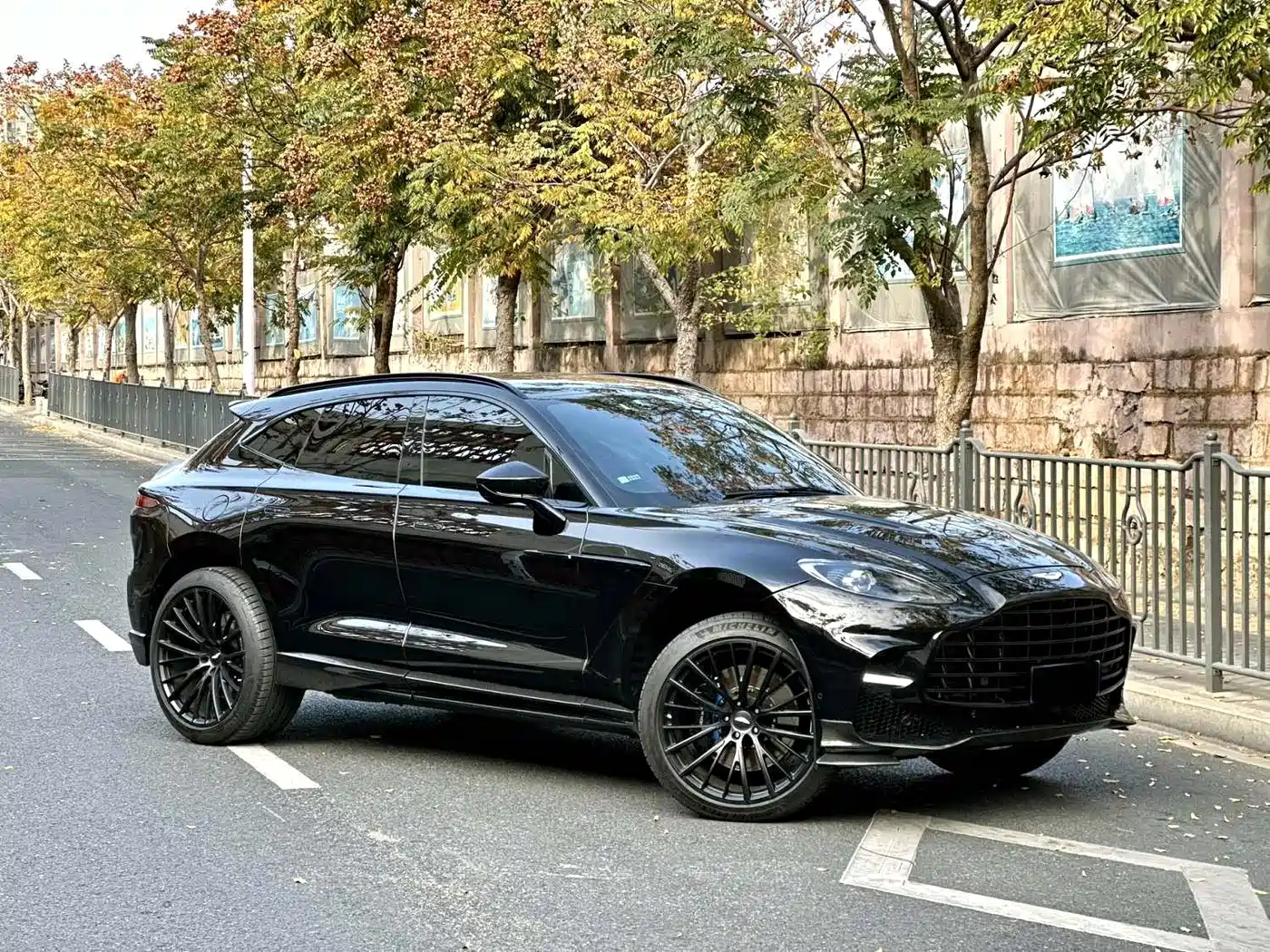 Aston Martin DBX 2020 4.0T V8 1913 First Edition Limited фото 3