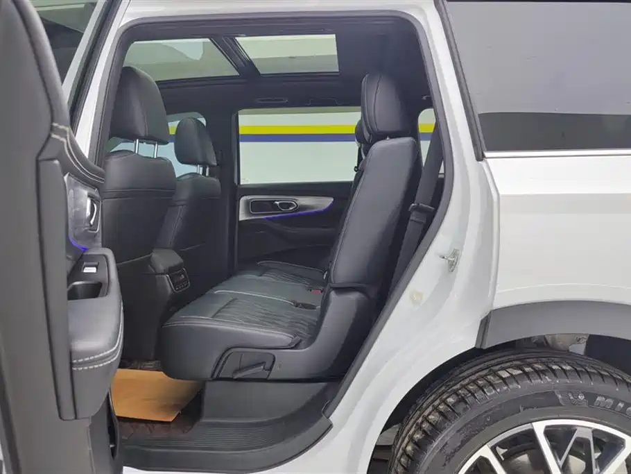 GAC Trumpchi Trumpchi GS8 2022 Pilot Series 2.0TGDI 2WD Luxury Smart Connect Edition (7-Seater) фото 11
