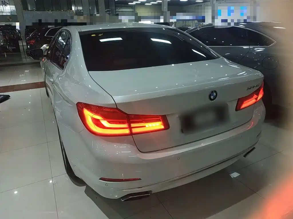 BMW 5 Series 2019 525Li Luxury Package фото 5