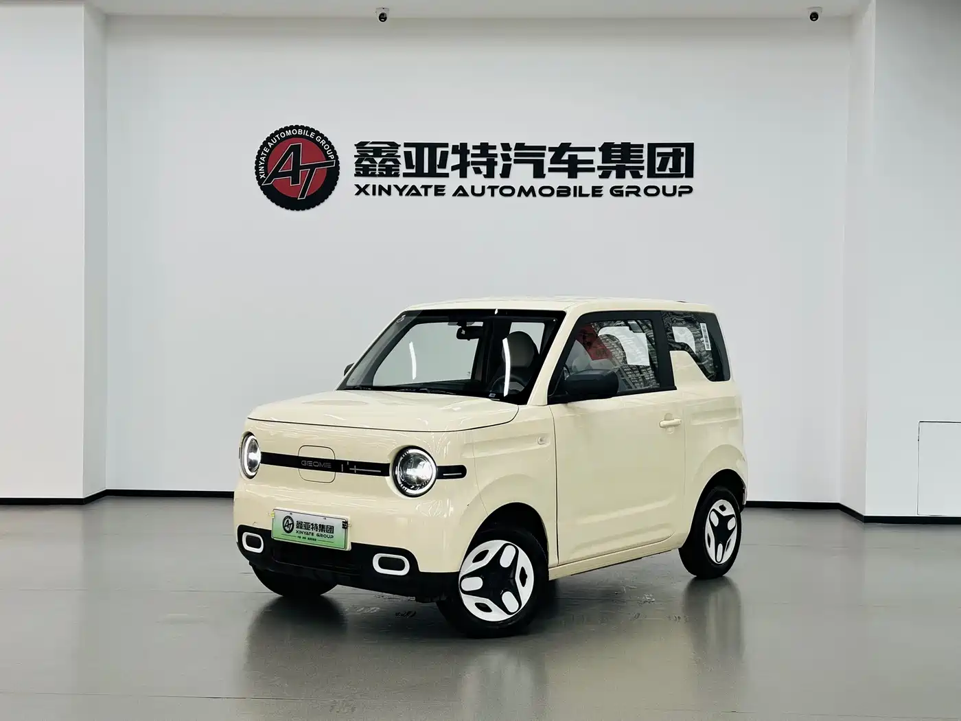 Geely Galaxy Panda 2025 Panda mini 210km Vitality Bear