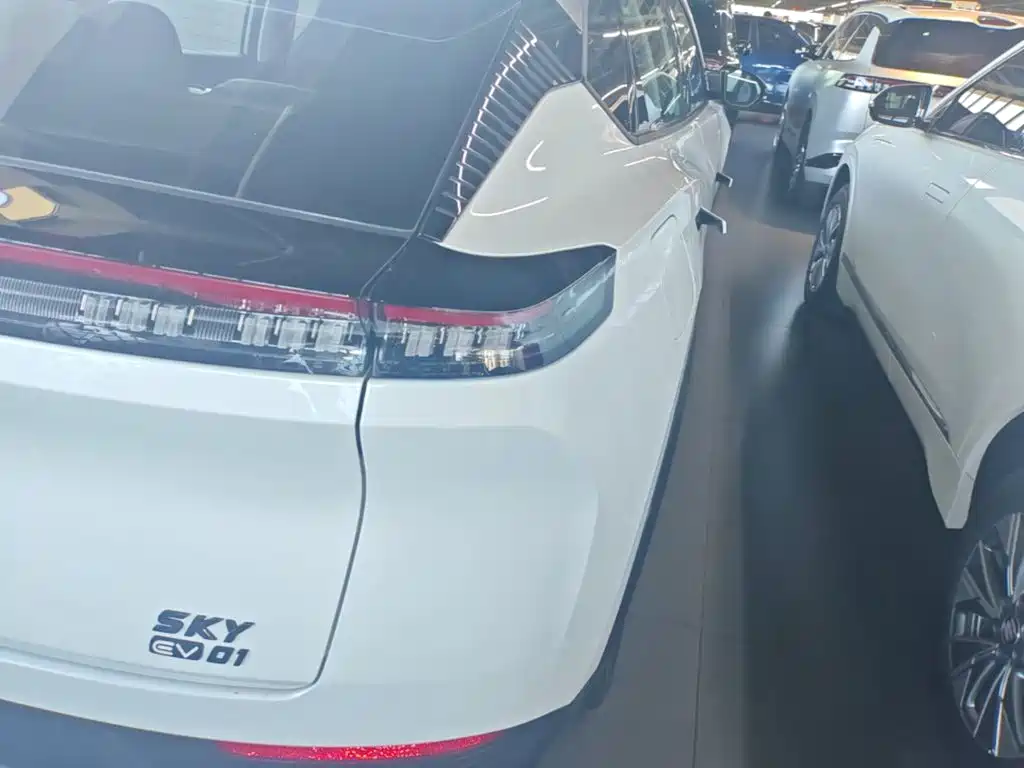 Dongfeng Aeolus SKY EV01 2026 2024 530km PRO Elite Edition
