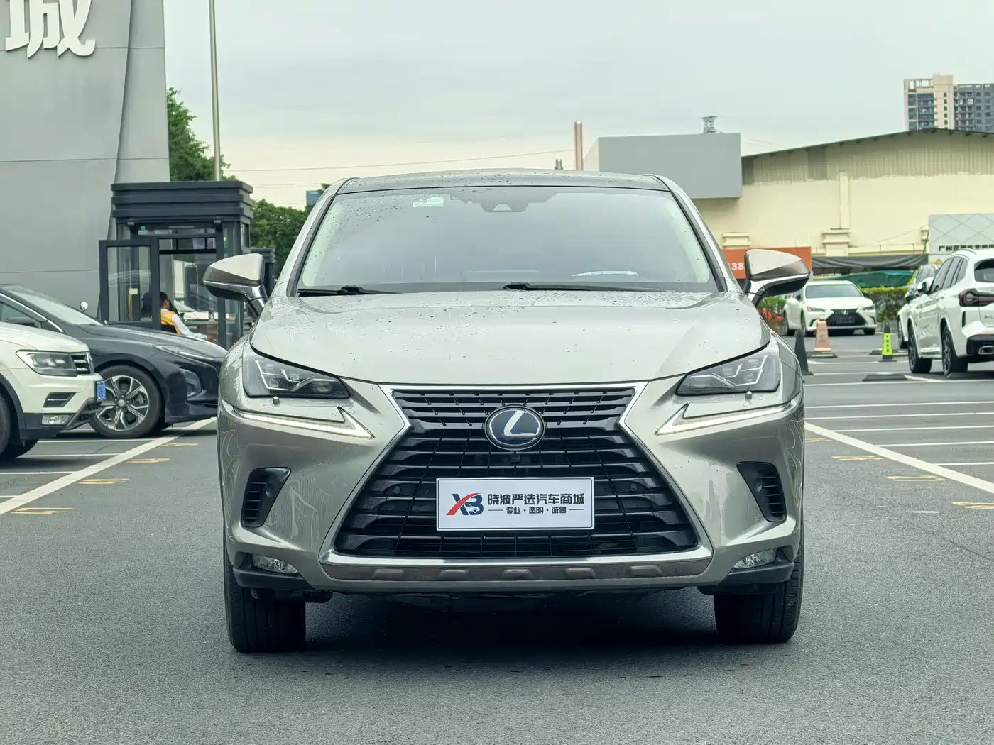 LEXUS NX