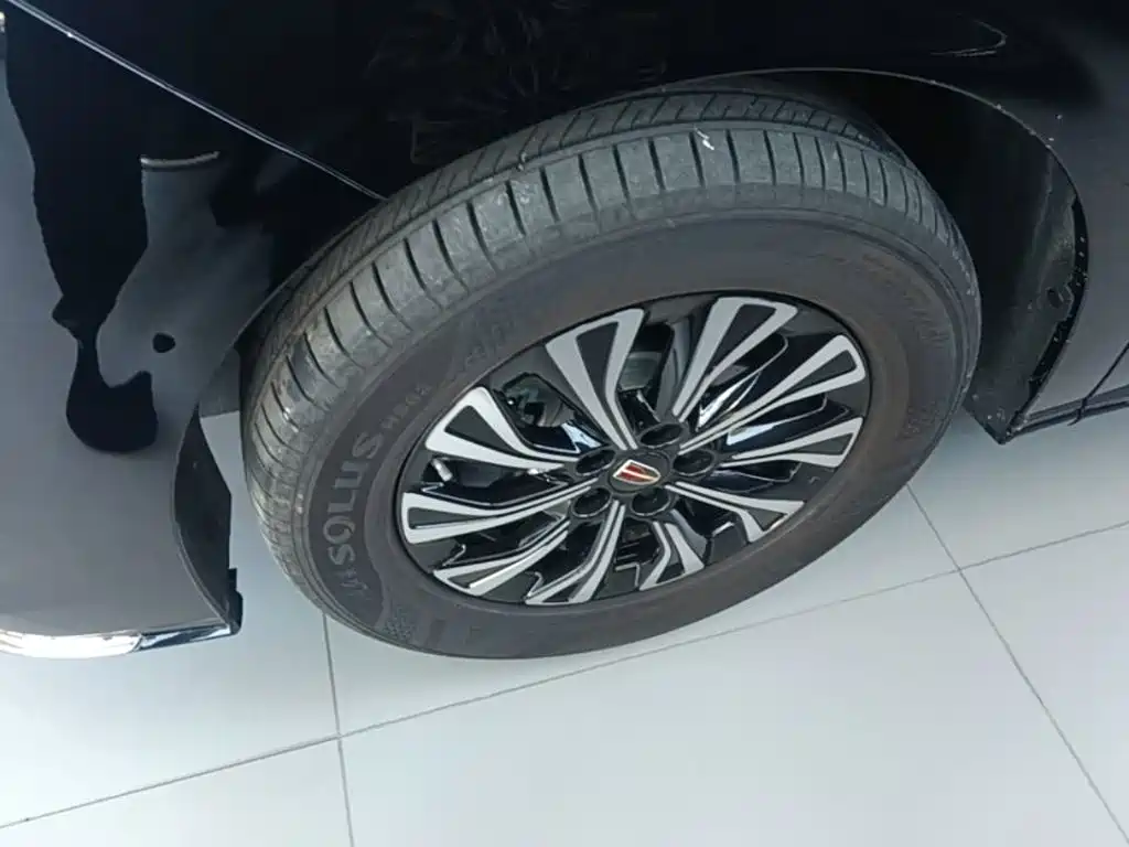 Hongqi HQ9 PHEV 2025 2024 Model 2.0T AWD Business Edition