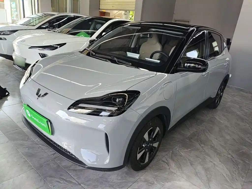 Wuling Motors Wuling Binguo PLUS 2025 2024 401km Range 5-seater