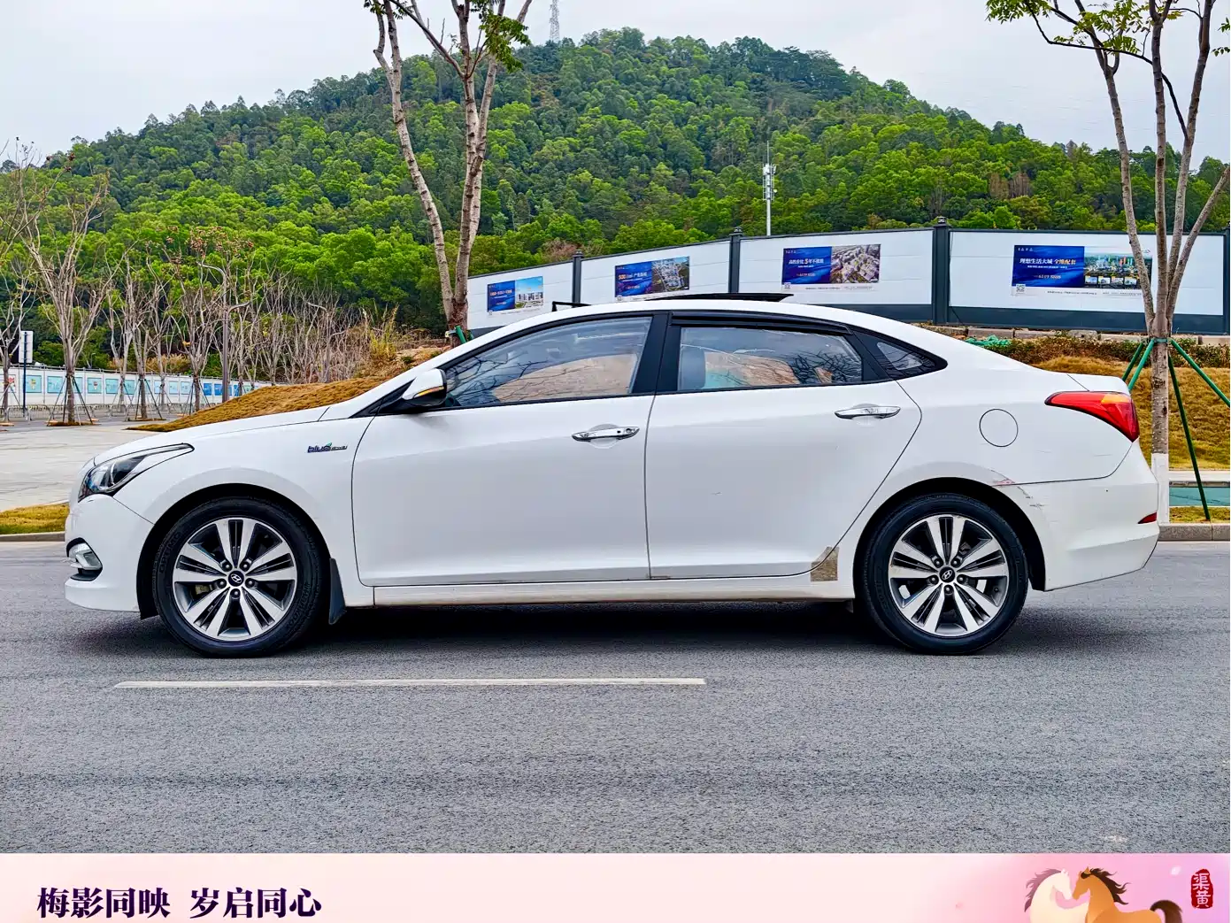 HYUNDAI NAME PICTURE