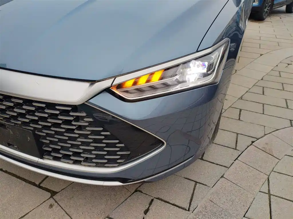 BYD Qin PLUS 2024 Glory Edition DM-i 55KM Leading фото 3