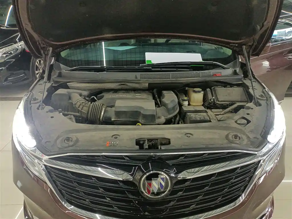 Buick GL8 2022 ES Landmark 653T Premium фото 20