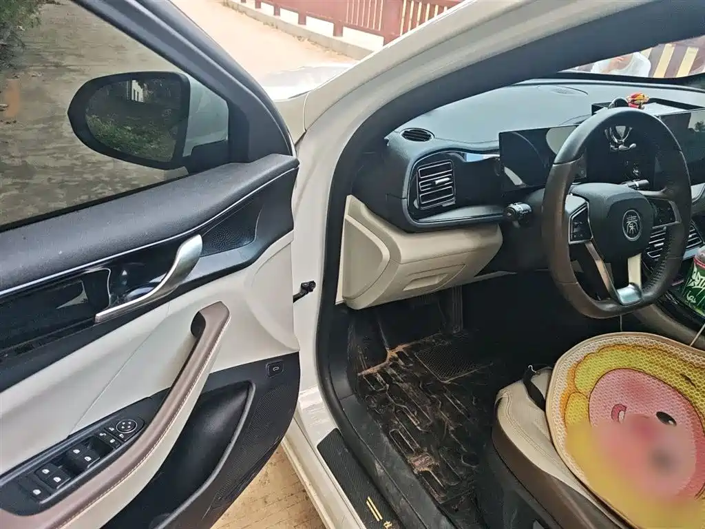 BYD Qin PLUS 2023 Champion Edition DM-i 55KM Leading фото 14