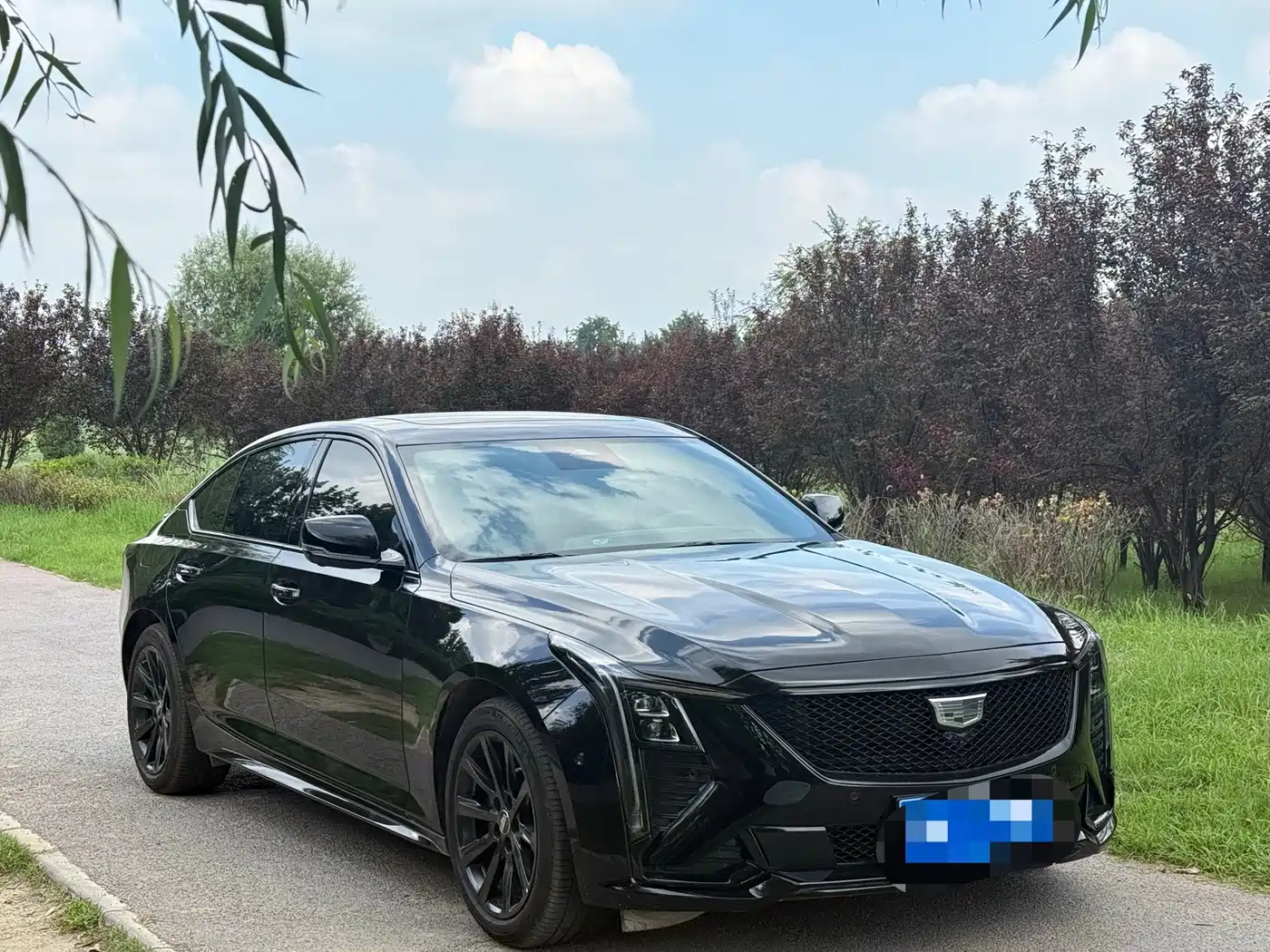 Фото 2 - Cadillac CT5