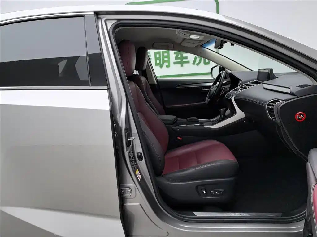 Lexus NX 2018 Model 300 FWD Fengxing Edition фото 23