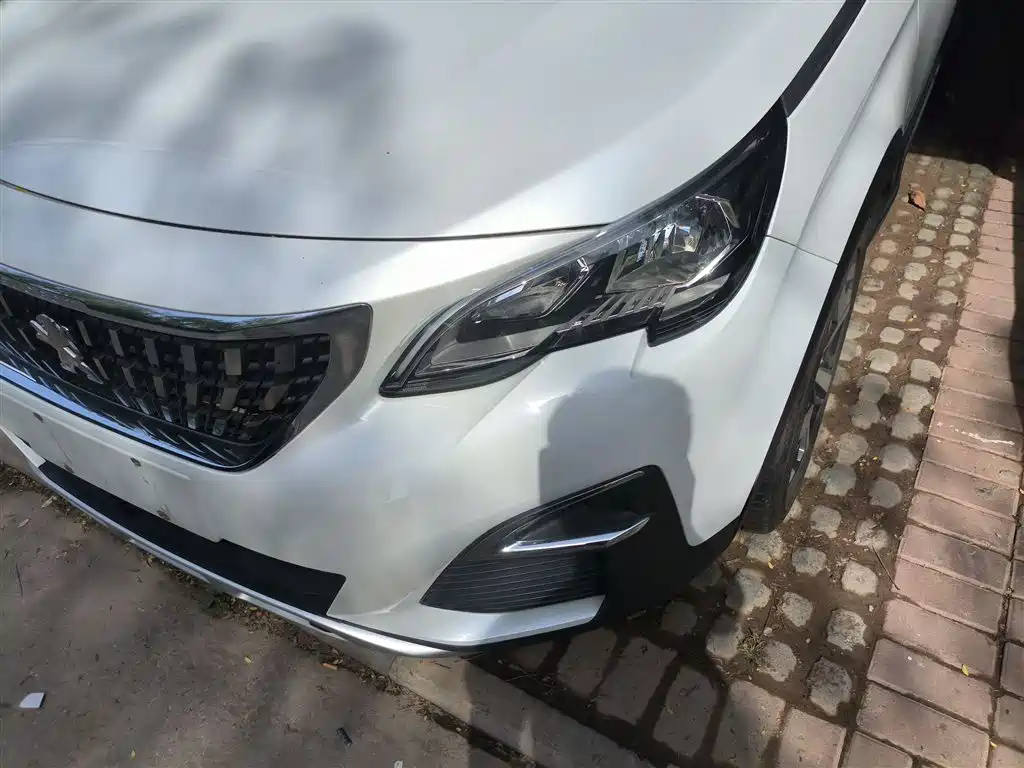 Peugeot 4008 2019 360THP Pioneer Edition фото 3