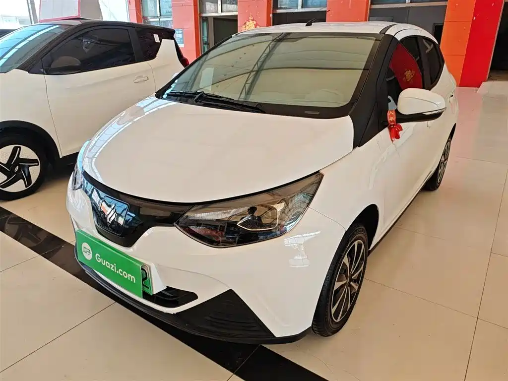 JMCG New Energy Little Kirin 2024 201km Comfort Model