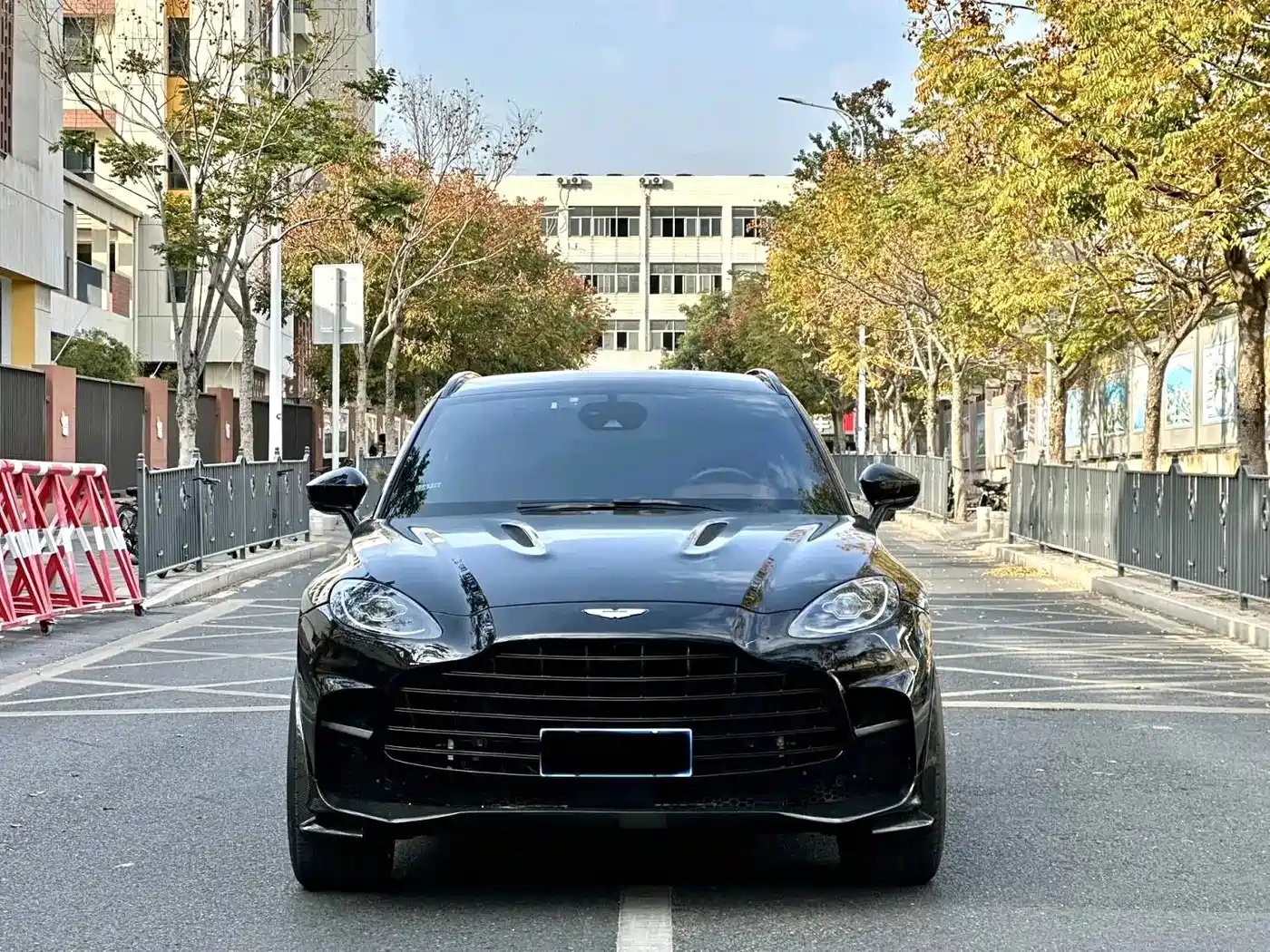 Aston Martin DBX 2020 4.0T V8 1913 First Edition Limited фото 2