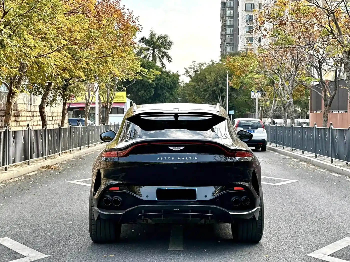Aston Martin DBX 2020 4.0T V8 1913 First Edition Limited фото 10