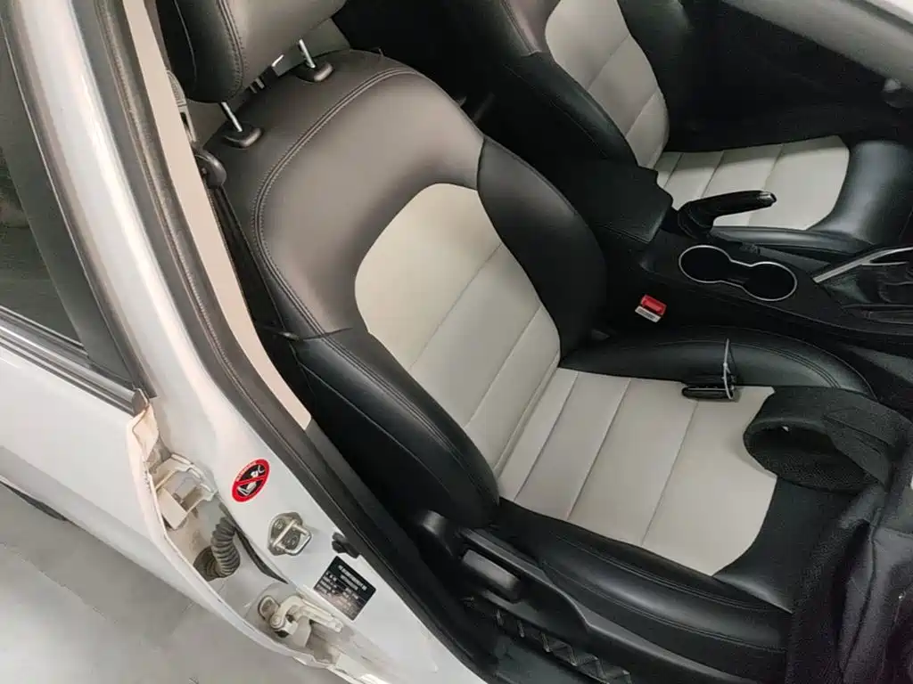 Фото 25 - Geely Vision