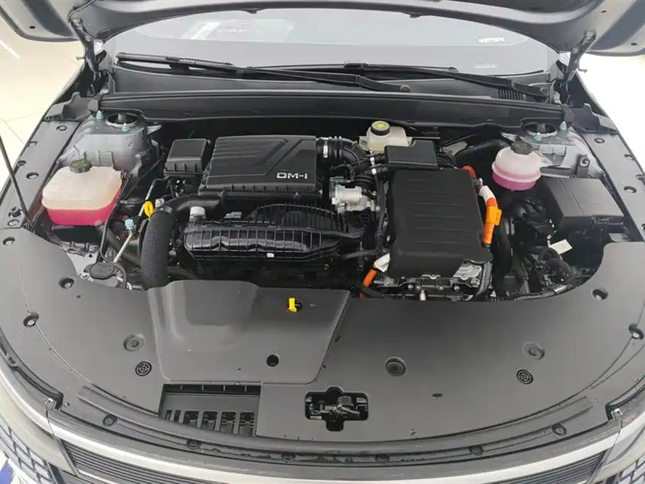 BYD Destroyer 05 2024 Glory Edition DM-i 55KM Luxury фото 10