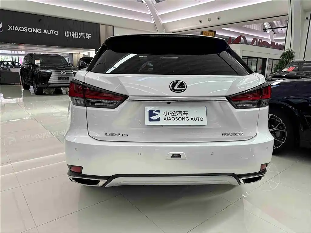 Lexus RX 2020 Facelift 300 2WD Elite Edition фото 20