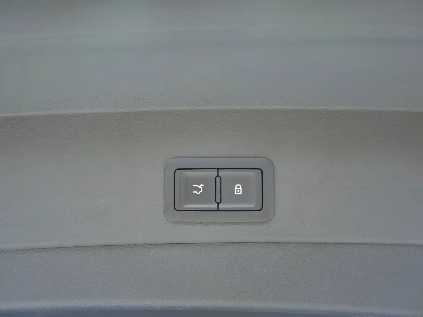 Hongqi E-HS9 2023 2022 660km Qi Ling Edition (4-seater)