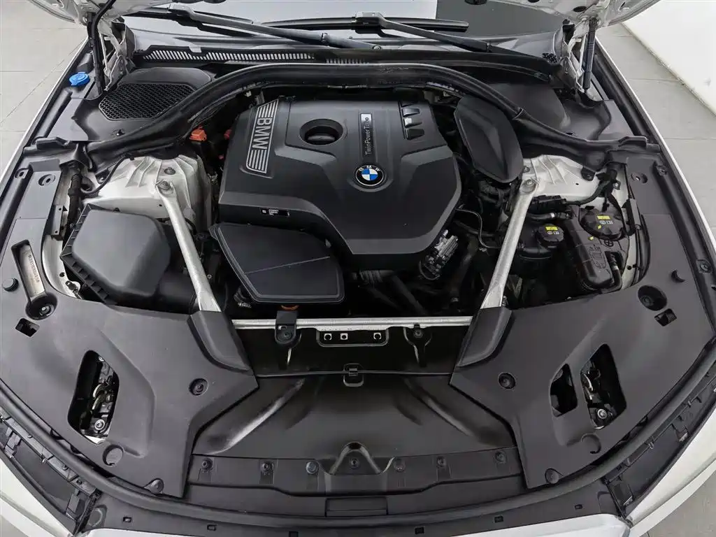BMW 5 Series 2019 525Li Luxury Package фото 6