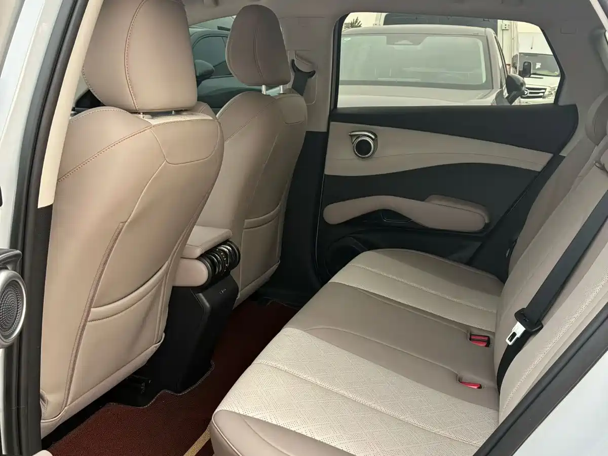 BYD Yuan PLUS 2025 2025 Smart Drive 510KM Surpass Edition