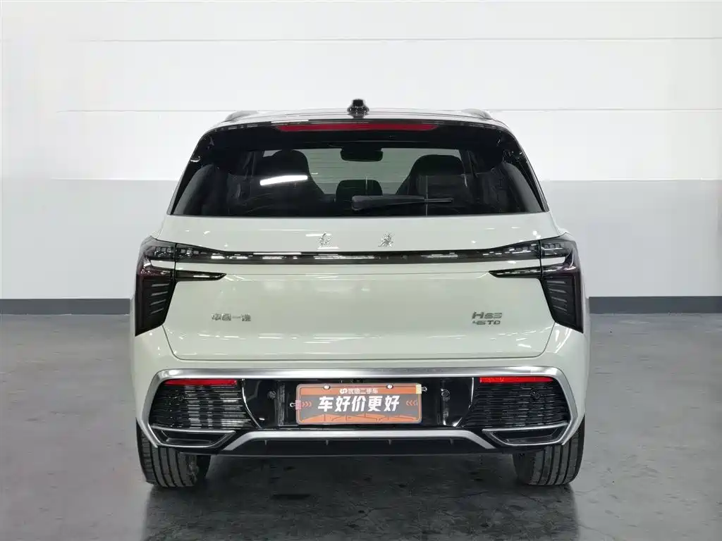 Hongqi HS3 2023 2.0T 4WD Achievement Edition фото 4