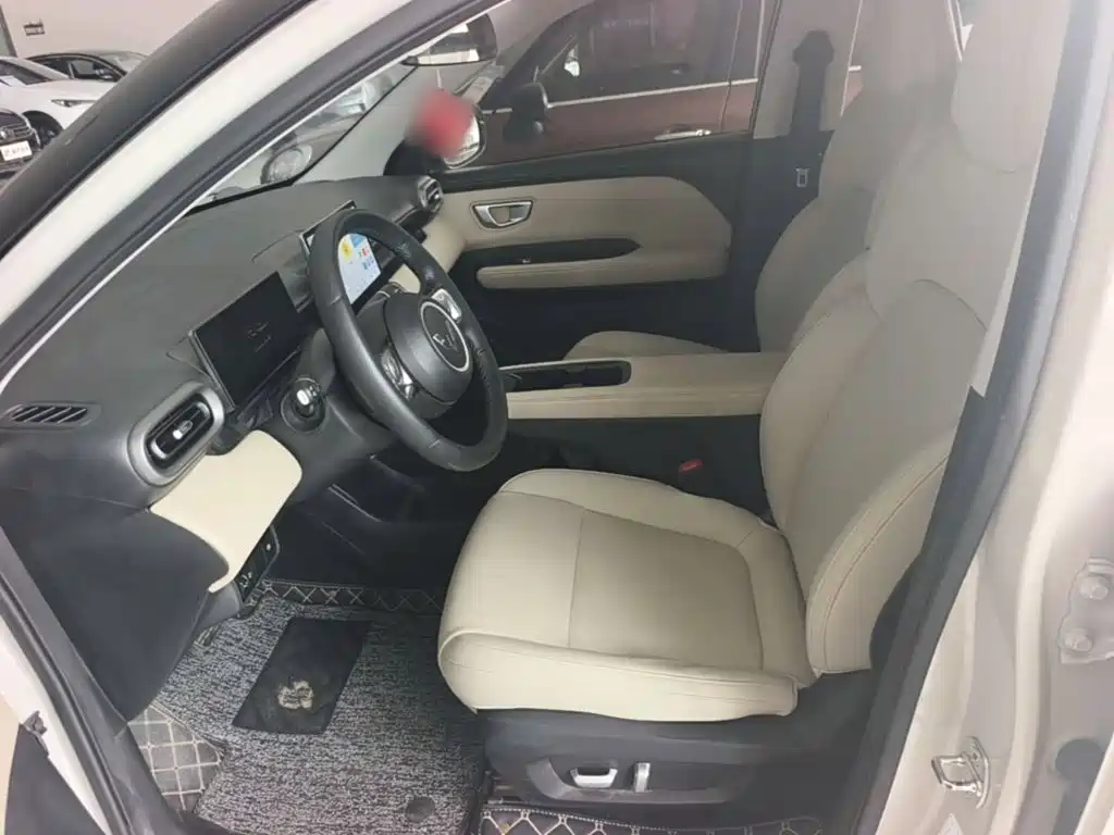 Wuling Motors Wuling Binguo PLUS 2025 2024 Model 330km 5-Seater