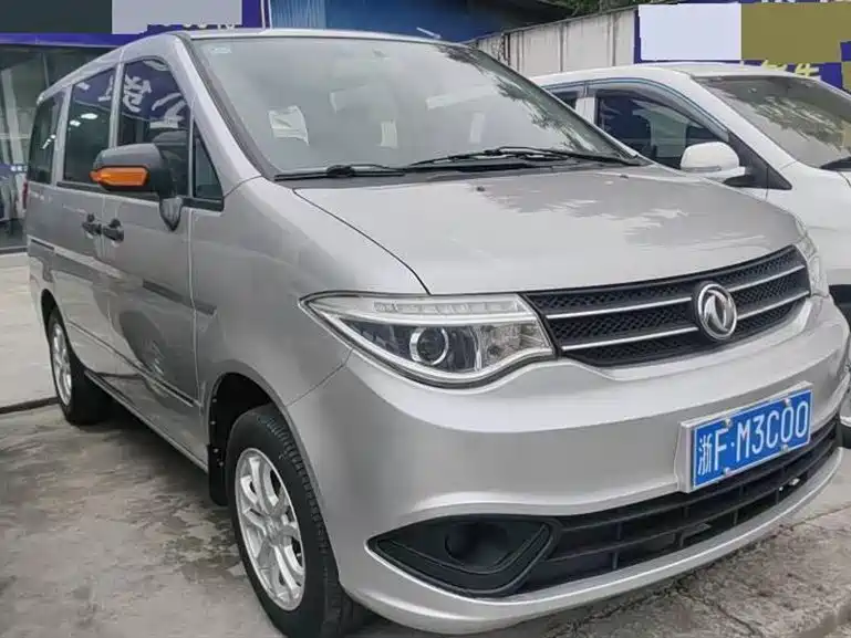 DONGFENG HANDSOME GUEST