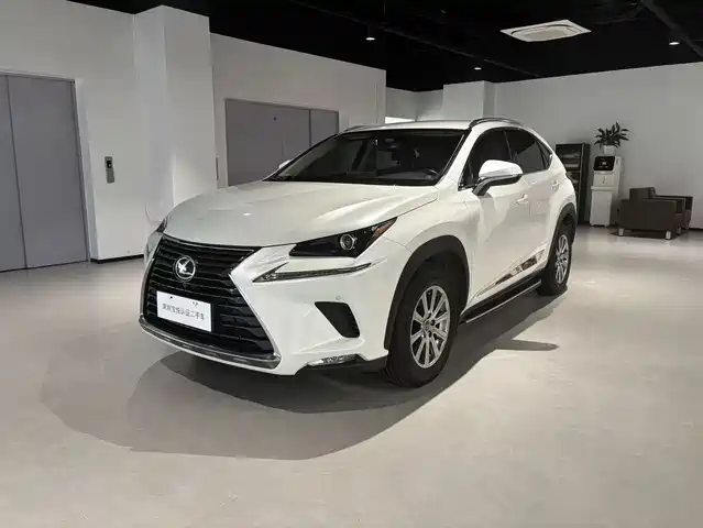 Lexus NX 2018 Model 200 FWD Fengxing Edition China V — фото 1