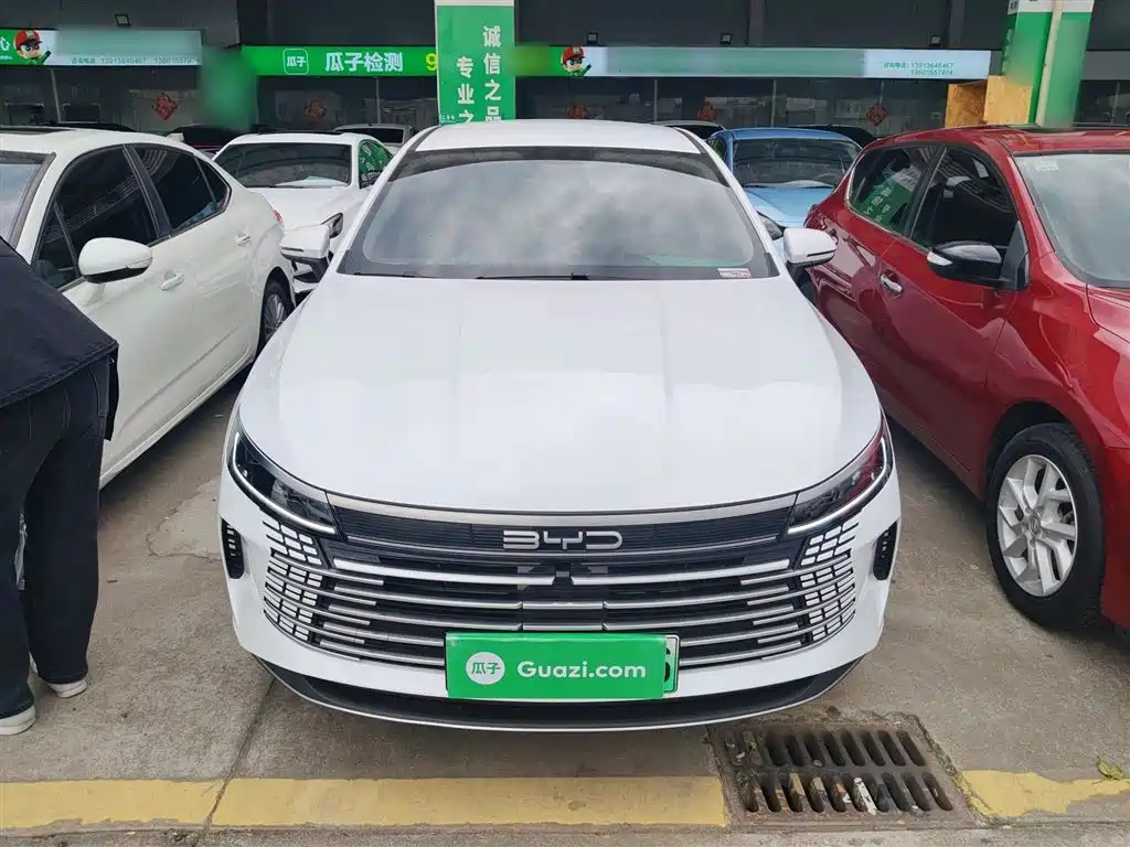 BYD Destroyer 05 2024 Glory Edition DM-i 55KM Luxury фото 3