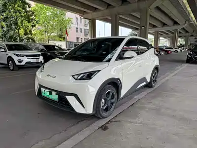 BYD Seagull